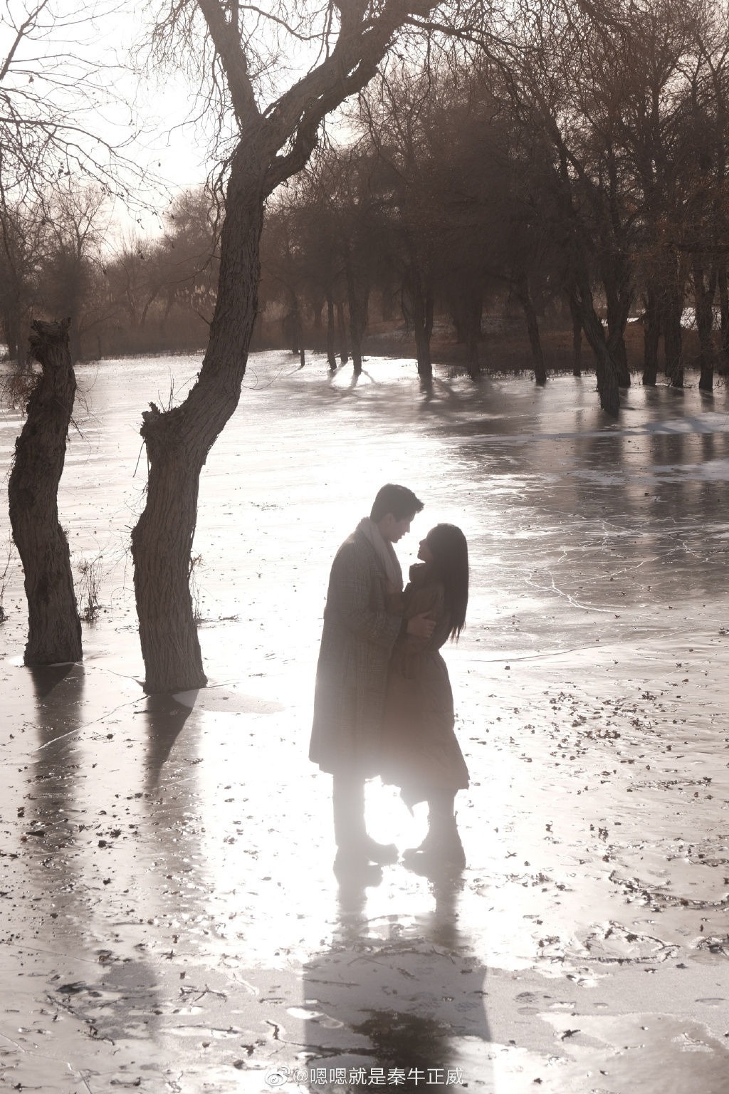 Tan Nguu Chinh Uy anh 4