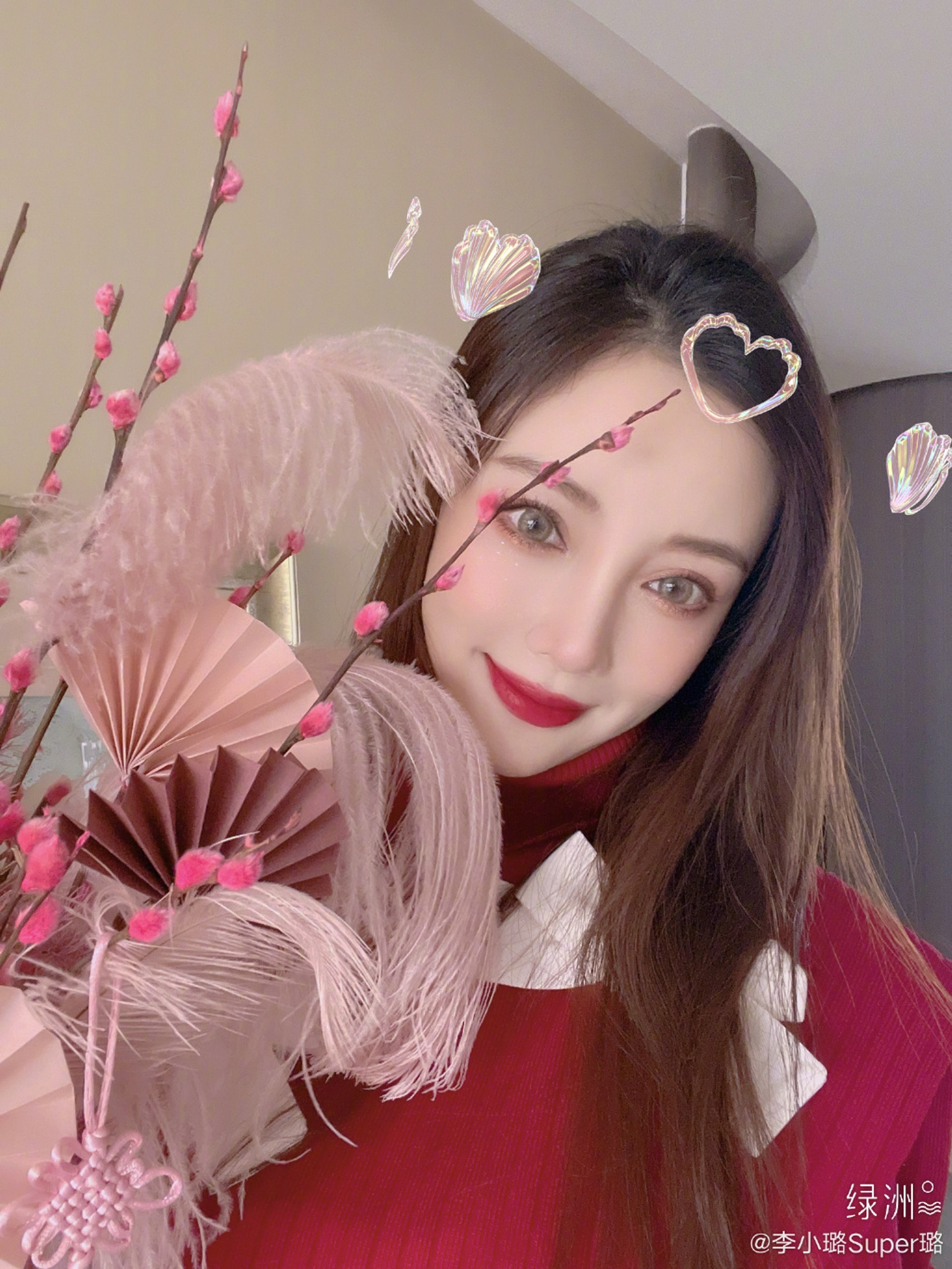 Lý Tiểu Lộ cuộc sống ảnh 1 Ly Tieu Lo cuoc song anh 1