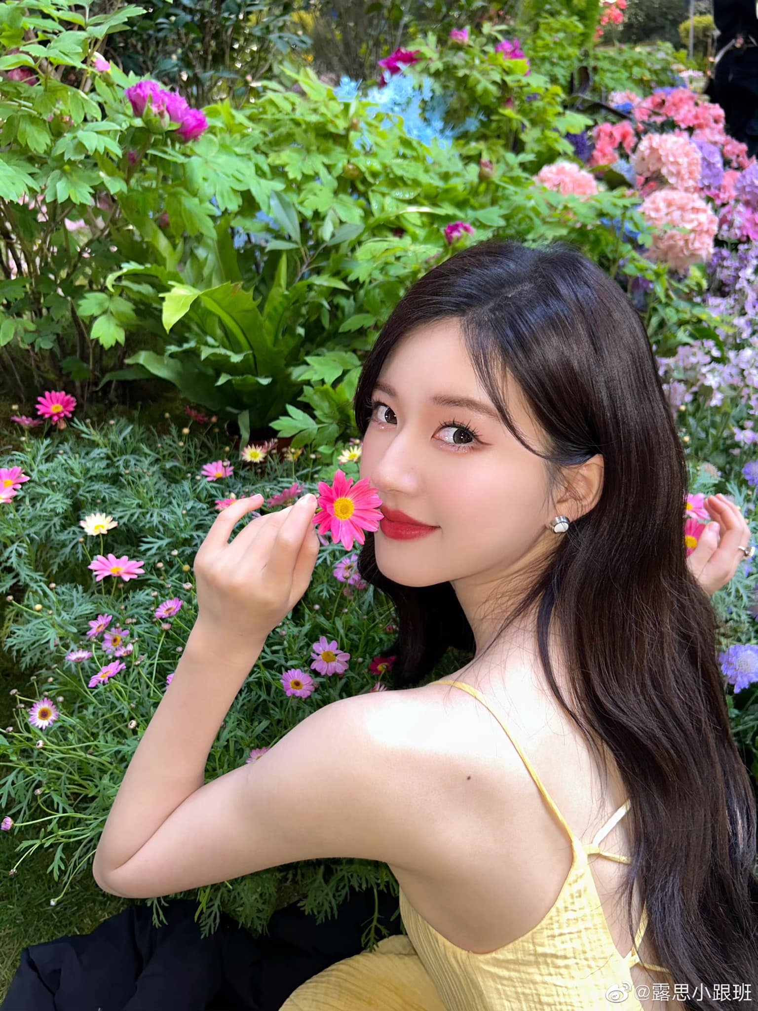 Trieu Lo Tu can ho anh 16