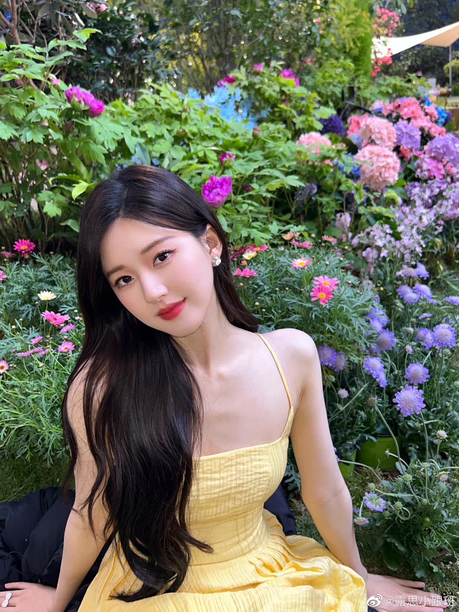 Trieu Lo Tu can ho anh 15