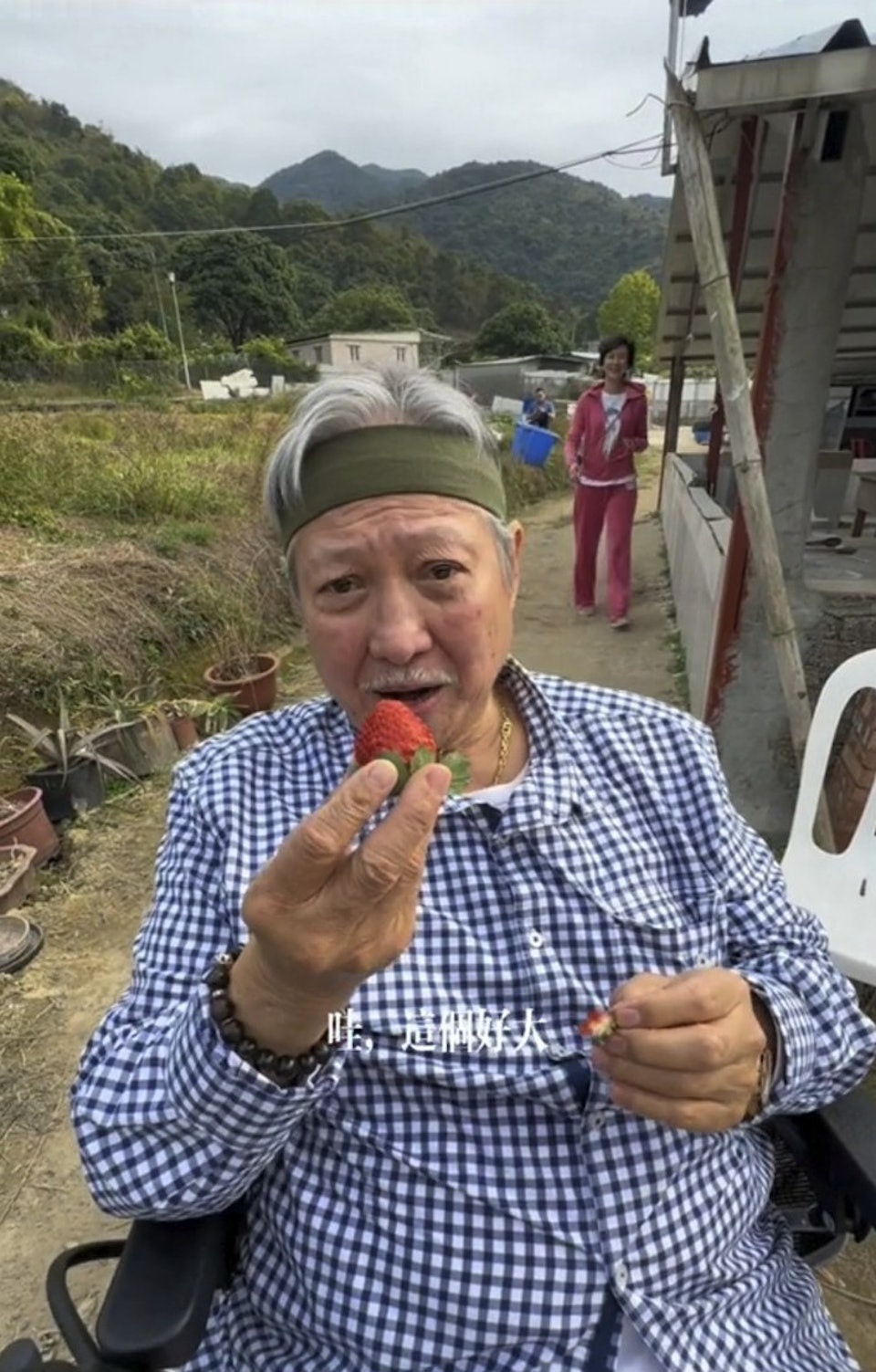 Cuoc song Hong Kim Bao anh 1