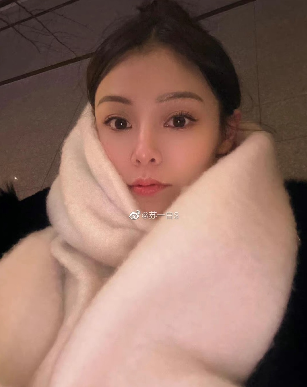 Abby Choi bi sat hai anh 1