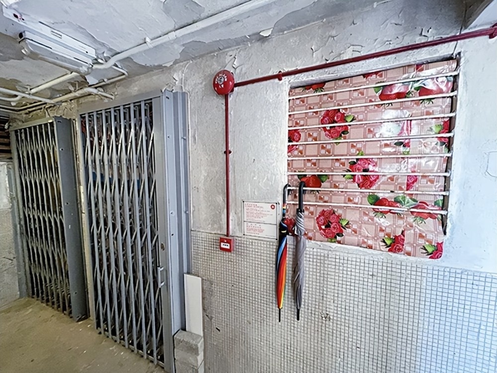 Quach Phu Thanh gia dinh anh 2