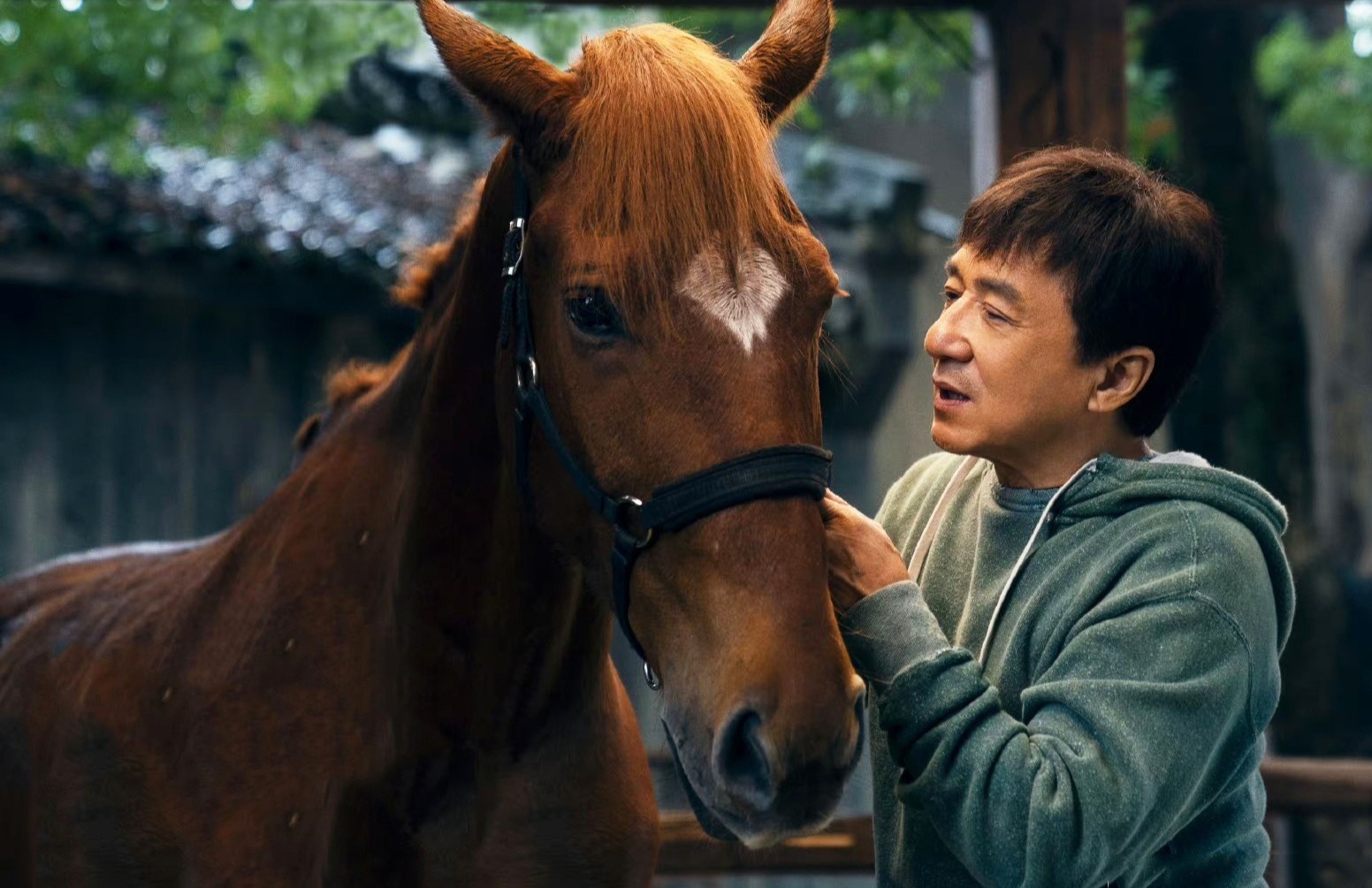 Su quay lung cua khan gia voi Thanh Long hinh anh