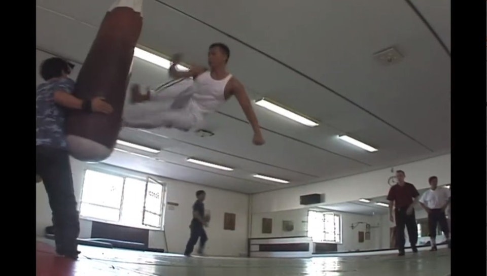 Chân Tử Đan ảnh 4 Chan Tu Dan anh 4