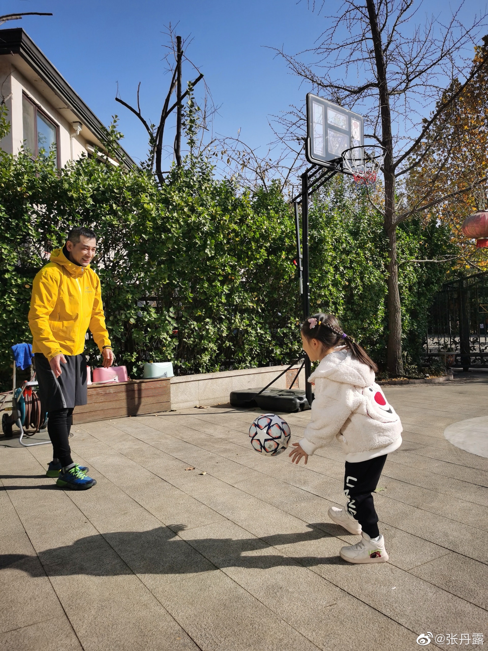 Triệu Văn Trác tài sản ảnh 2 Trieu Van Trac tai san anh 2