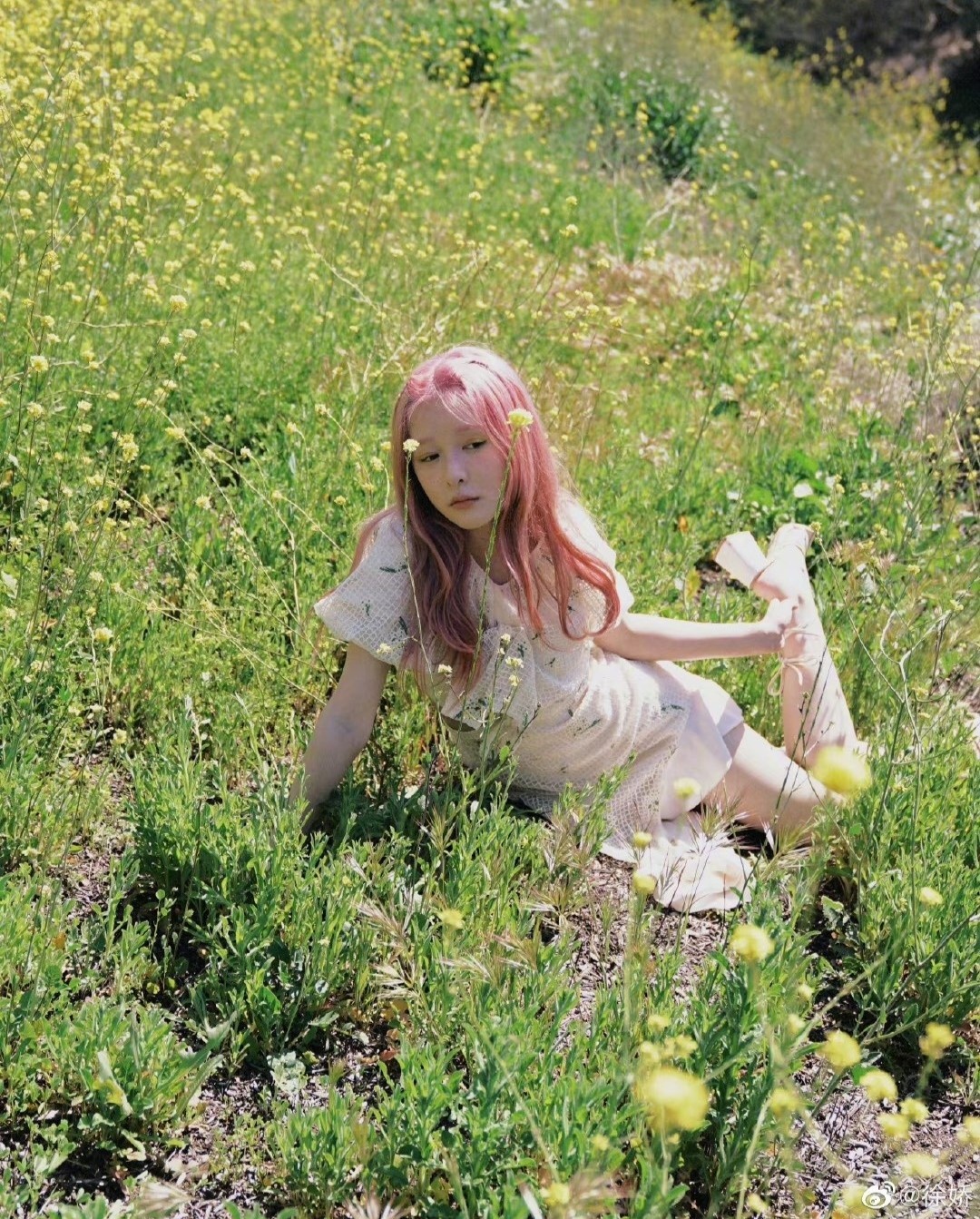 Con nuoi Chau Tinh Tri anh 8