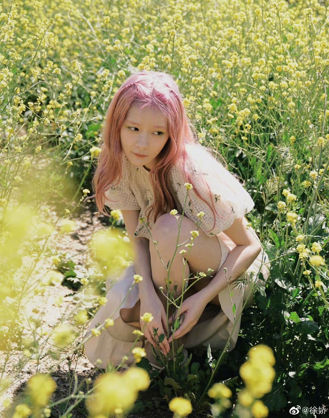 Con nuoi Chau Tinh Tri anh 6