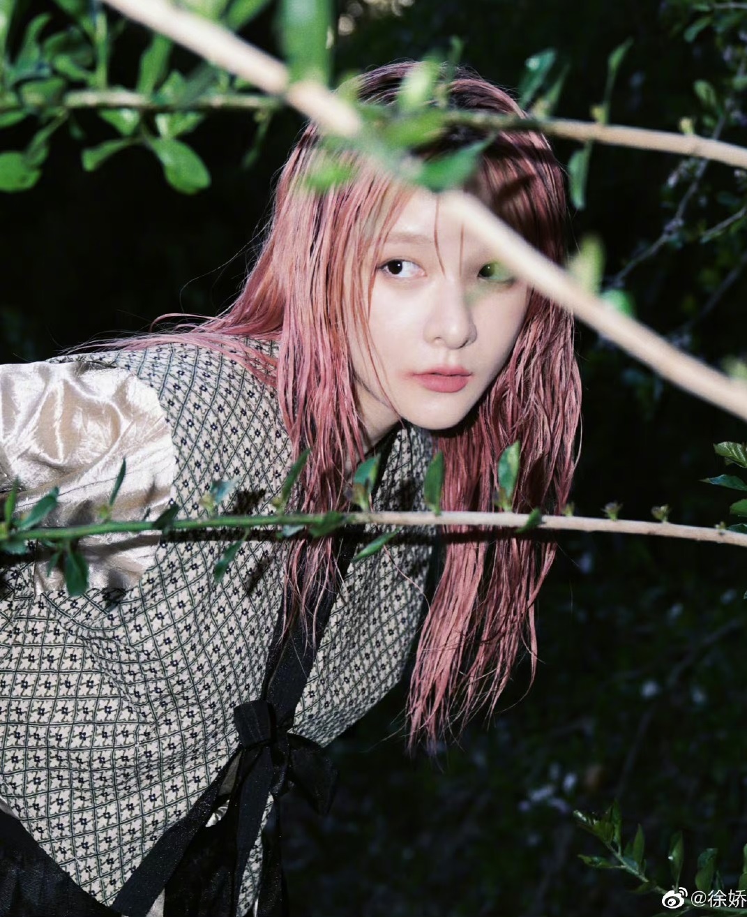 Con nuoi Chau Tinh Tri anh 3