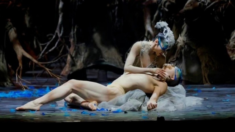 Dieu mua chim cong cua Duong Le Binh lai bi chi trich goi duc hinh anh