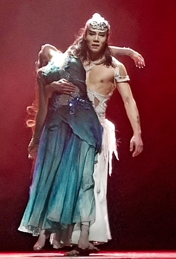 Dieu mua chim cong anh 4