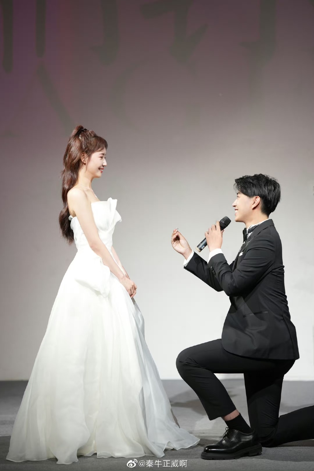 Tần Ngưu Chính Uy ảnh 1 Tan Nguu Chinh Uy anh 1