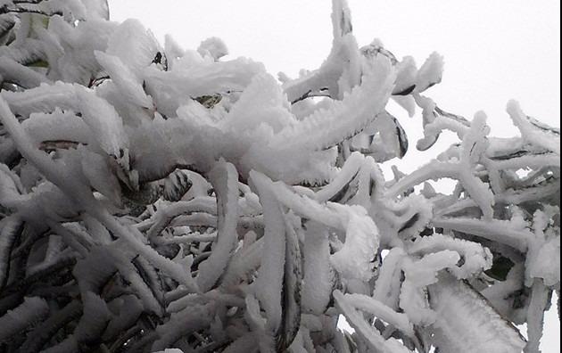 Bang gia, suong muoi xuat hien o day Hoang Lien Son hinh anh