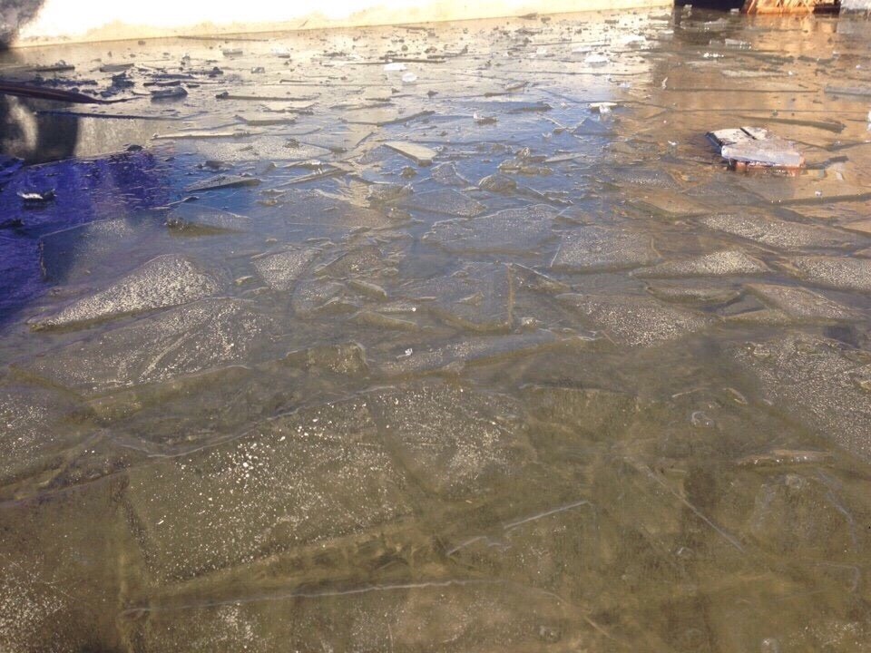 bang gia xuat hien gan dinh nui Fansipan anh 1