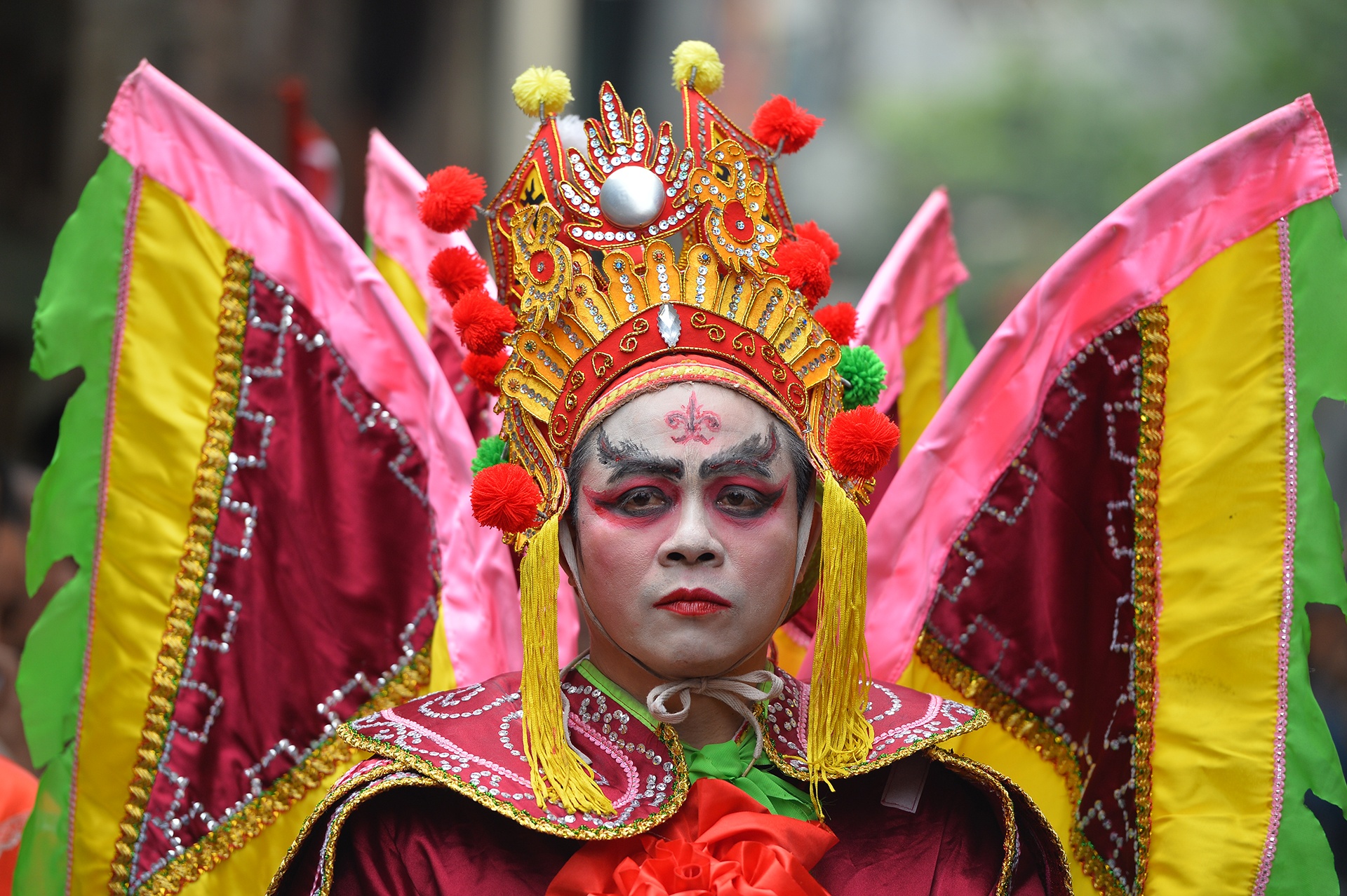 11 le hoi lon dau xuan khap 3 mien hinh anh