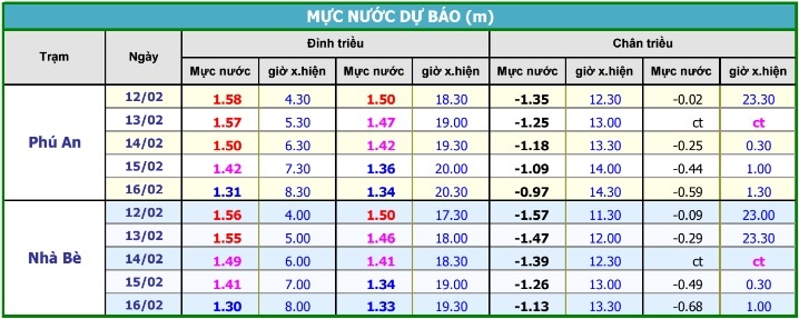 Sai Gon nguy co ngap do trieu cuong anh 2