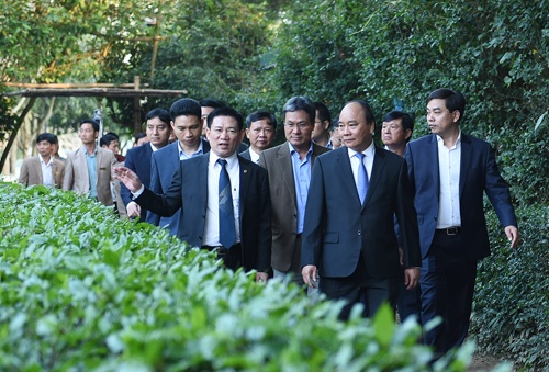 thủ tướng dâng hương di tích Kim Liên ảnh 1 thu tuong dang huong di tich Kim Lien anh 1