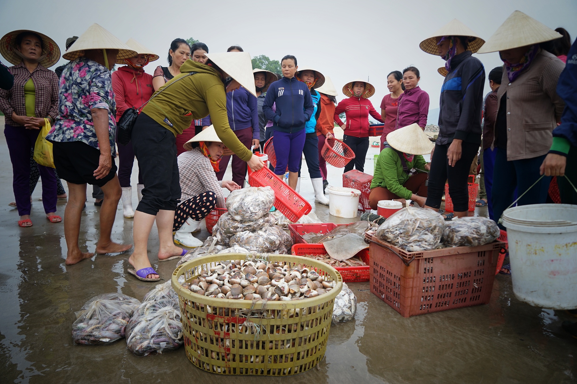 lang chai hoi sinh sau su co Formosa anh 7
