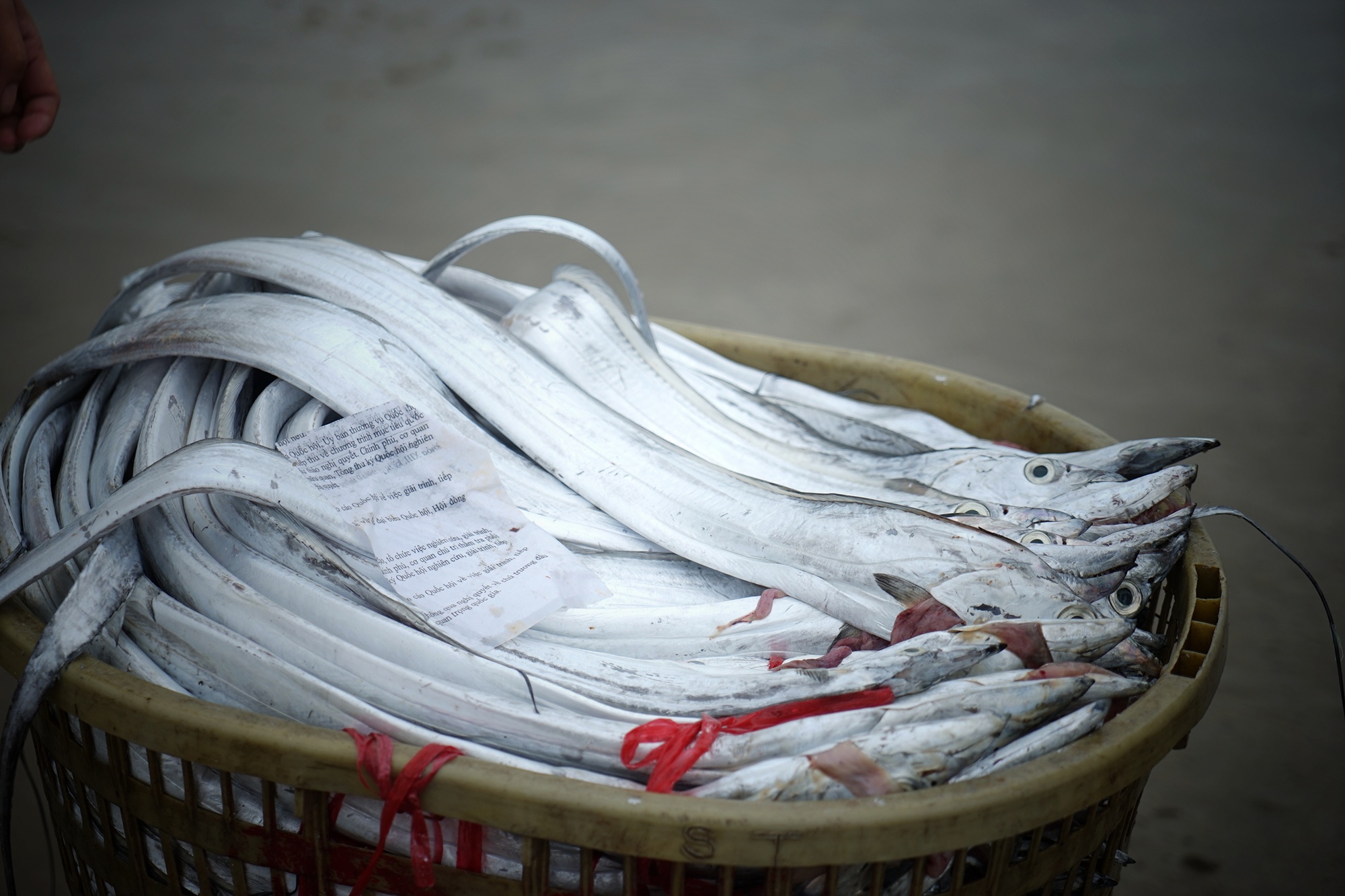 lang chai hoi sinh sau su co Formosa anh 8