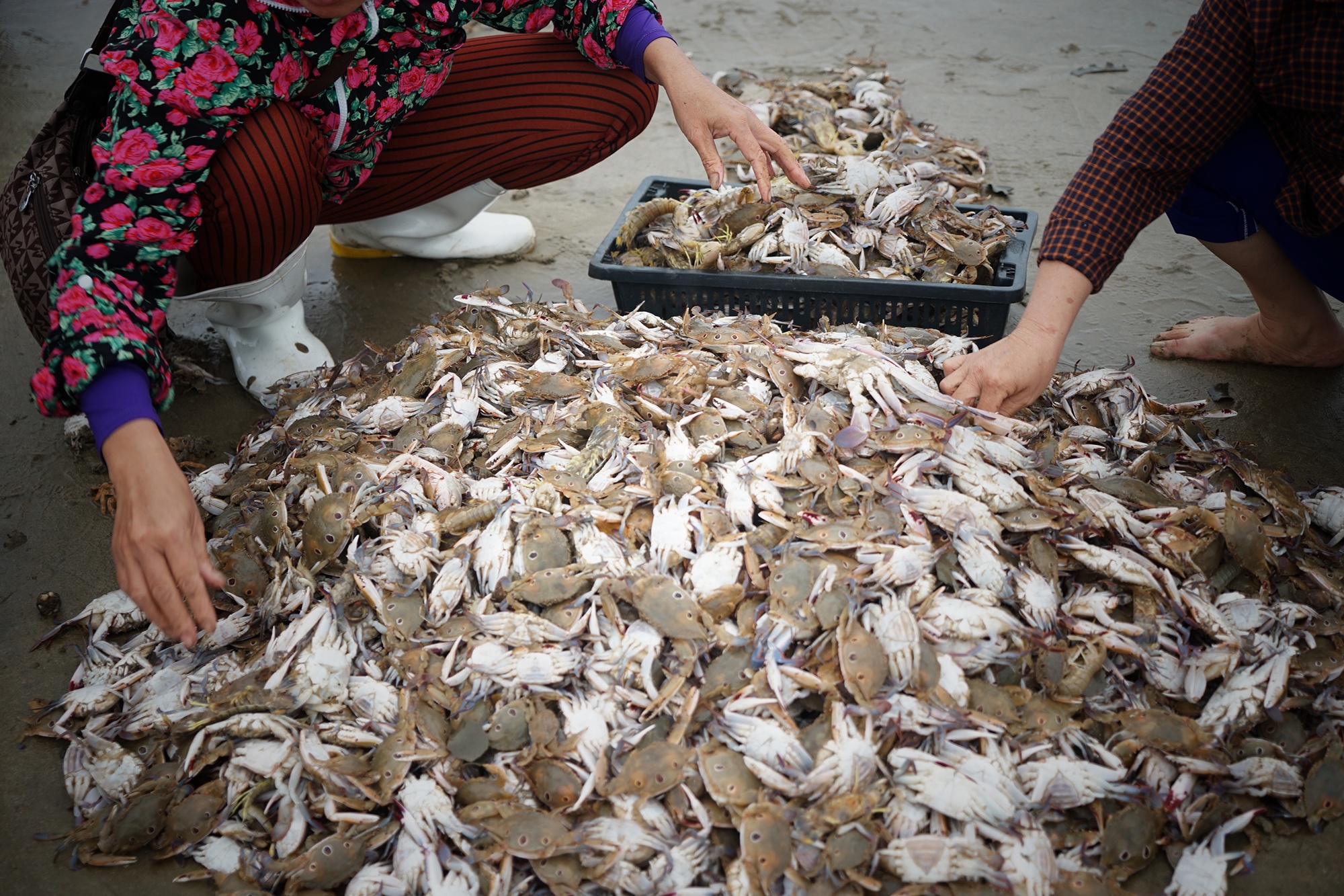 lang chai hoi sinh sau su co Formosa anh 10