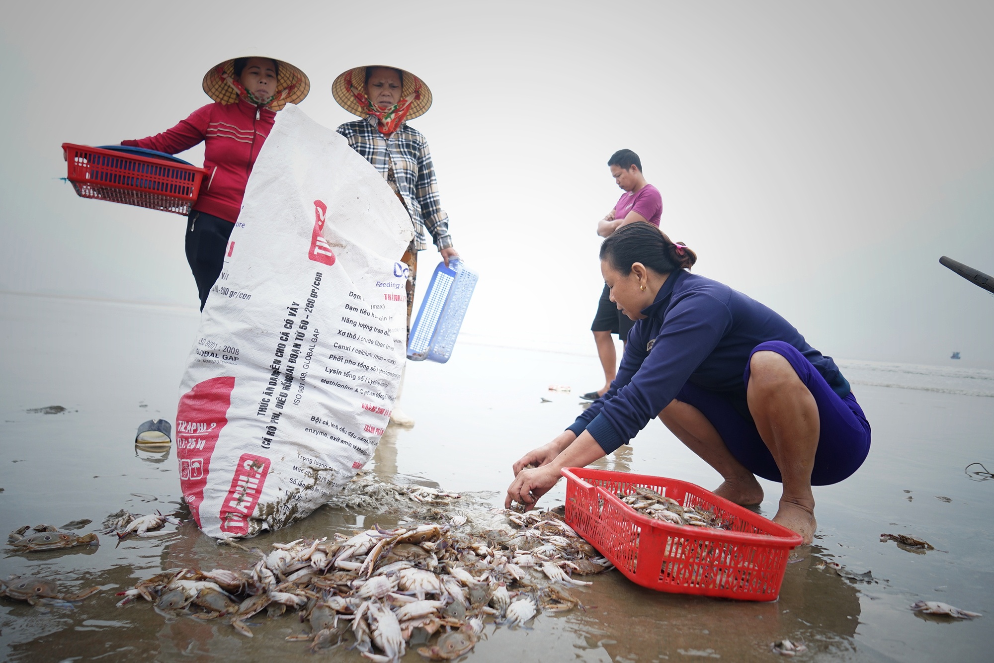lang chai hoi sinh sau su co Formosa anh 11
