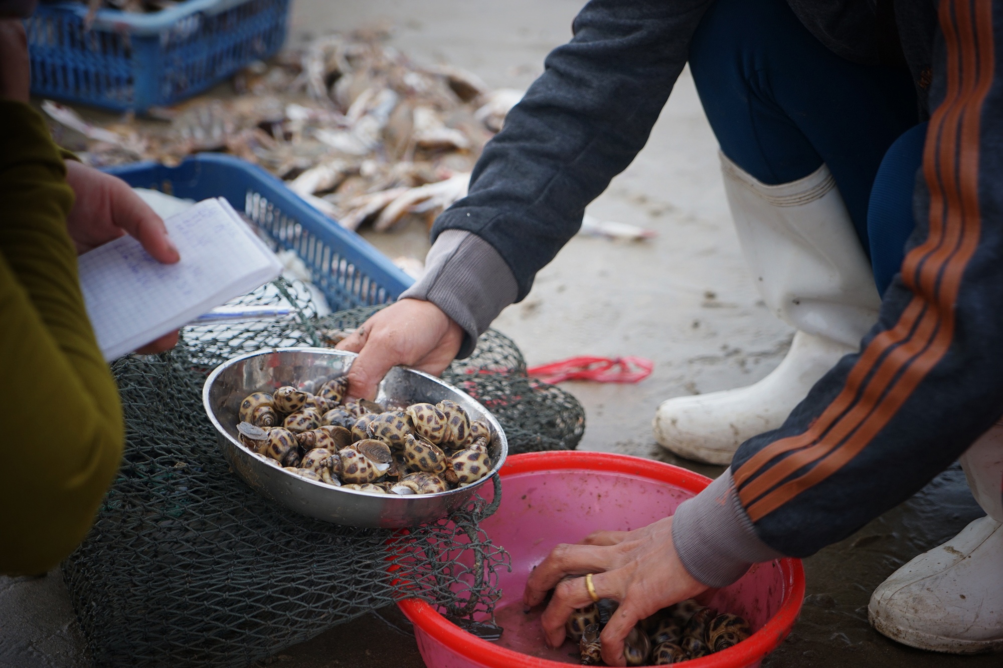 lang chai hoi sinh sau su co Formosa anh 12