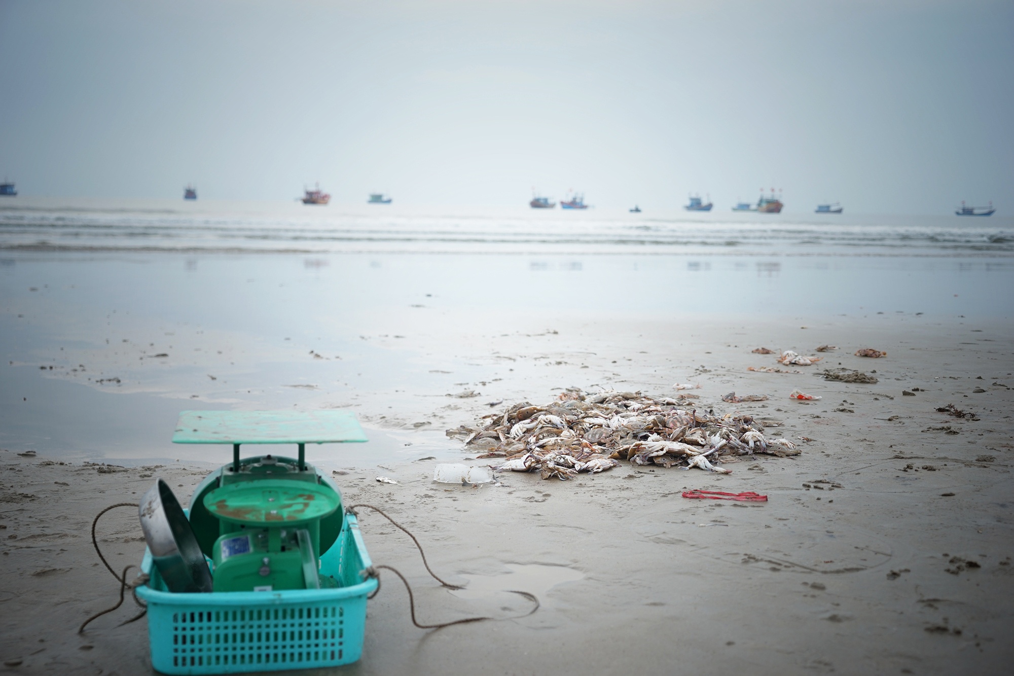 lang chai hoi sinh sau su co Formosa anh 4