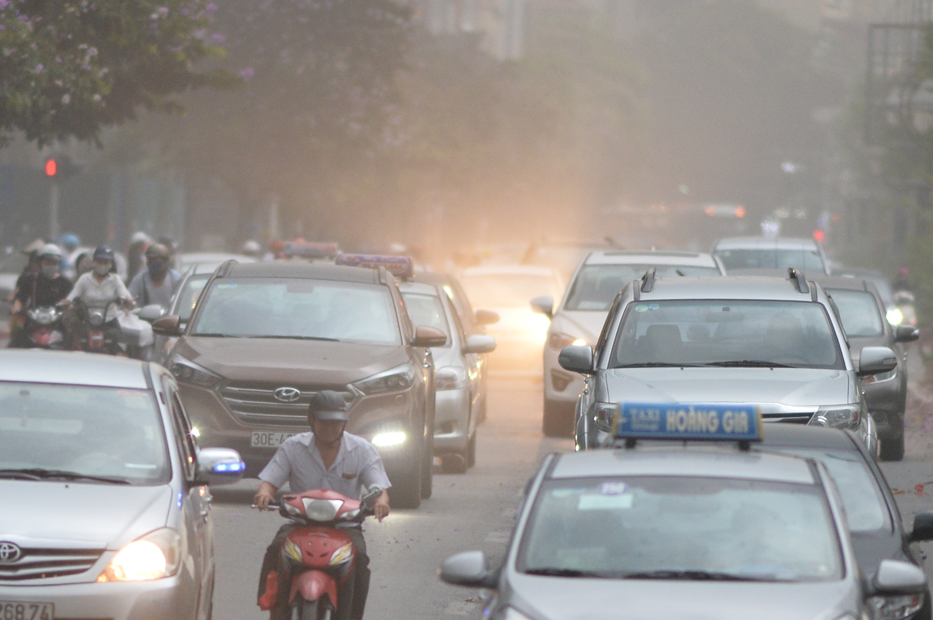 Ha Noi don nhung con mua dau tien sau nang nong hinh anh