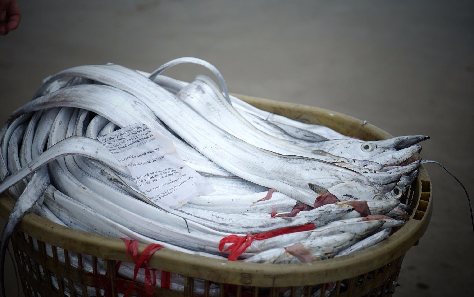 'Bien mien Trung da an toan ve moi truong nuoc sau su co Formosa' hinh anh