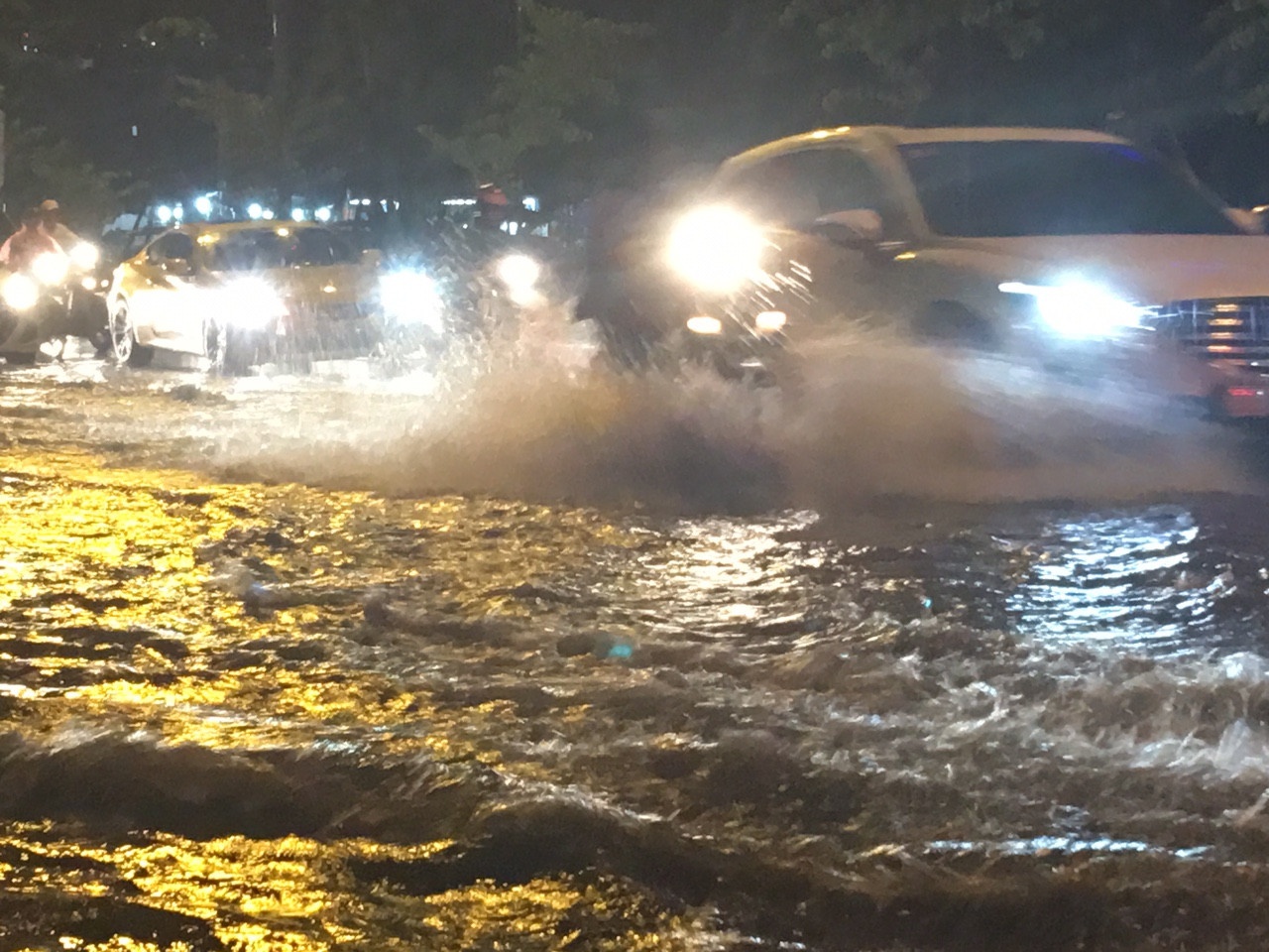 Ha Noi ngap nang vi mua lon anh 6