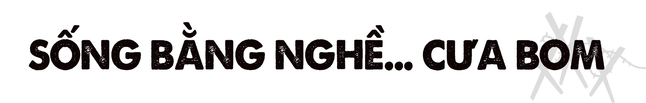 Vung dat chet Quang Tri anh 4