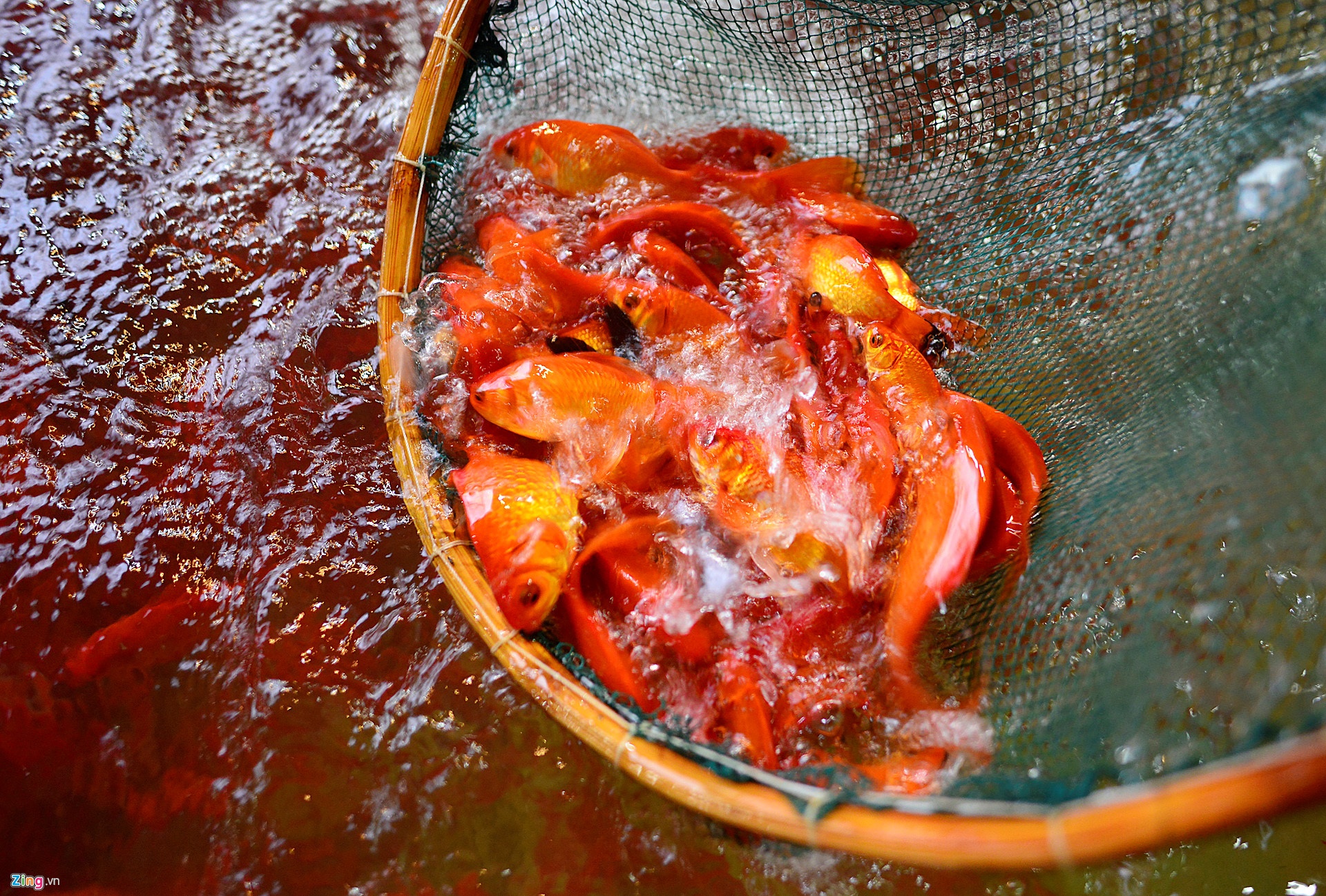 nguon goc va y nghia cung ong Cong ong Tao anh 2