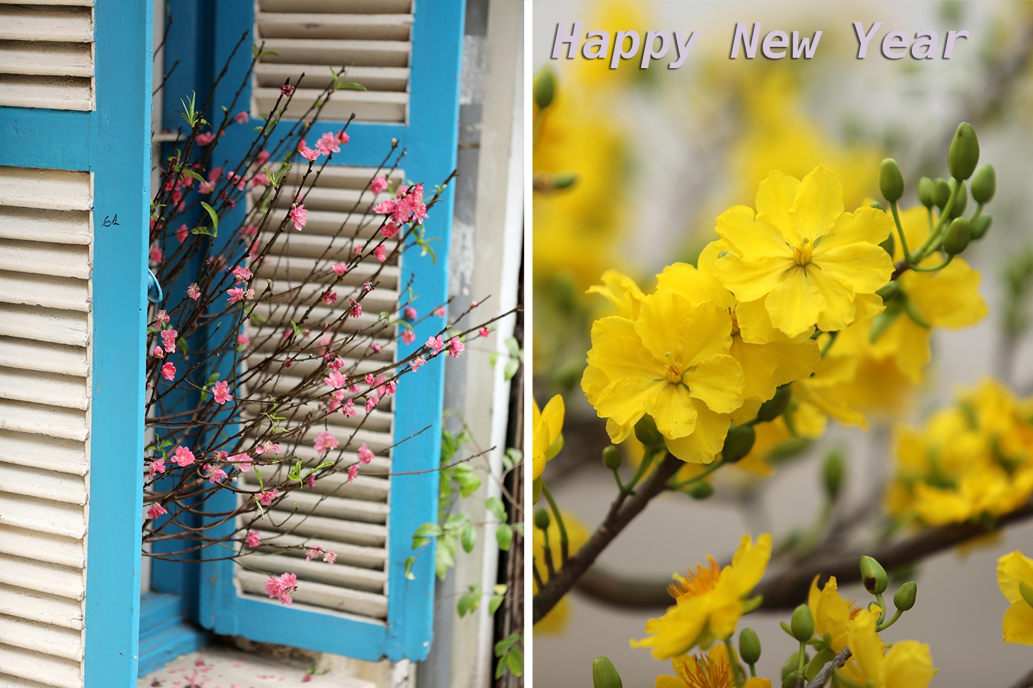 những tục lệ ba mươi Tết ảnh 1 nhung tuc le ba muoi Tet anh 1