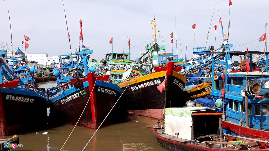 ap thap nhiet doi anh 1