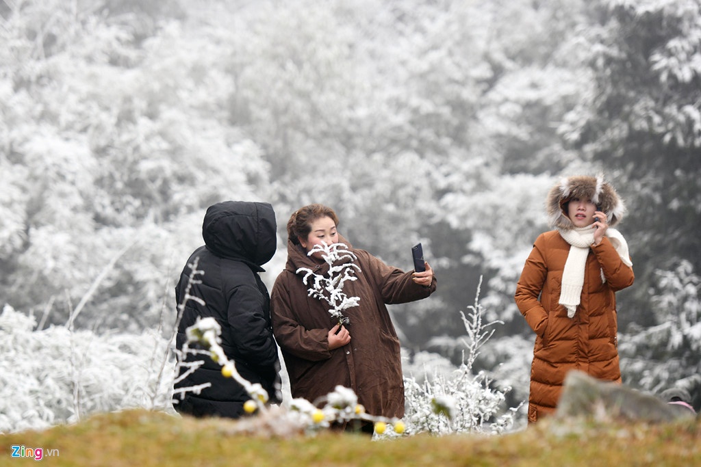 mưa tuyết và băng giá ảnh 1 mua tuyet va bang gia anh 1
