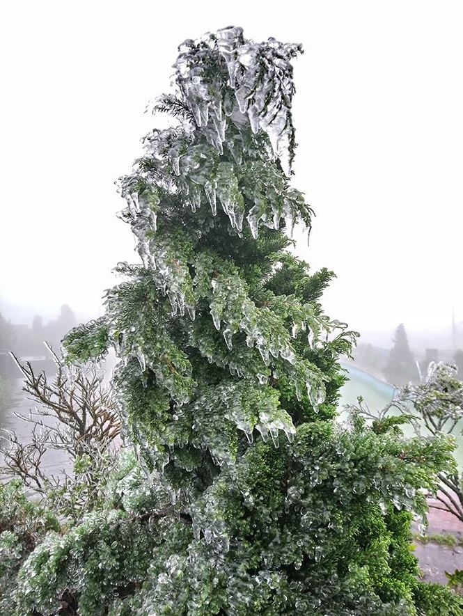 Bac Bo ret dam ret hai anh 1