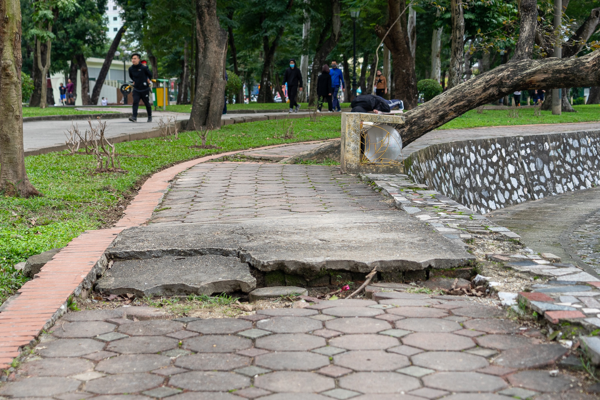 cai tao cong vien Thong Nhat anh 5