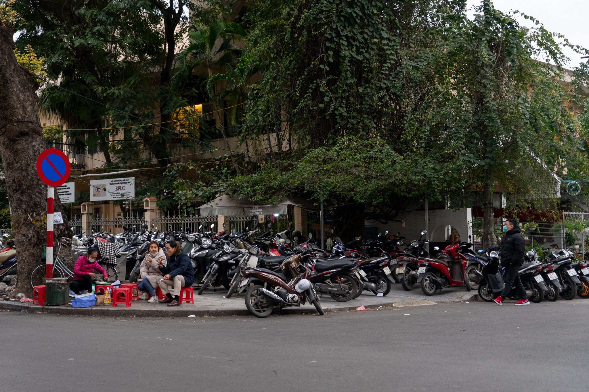 cai tao cong vien Thong Nhat anh 4