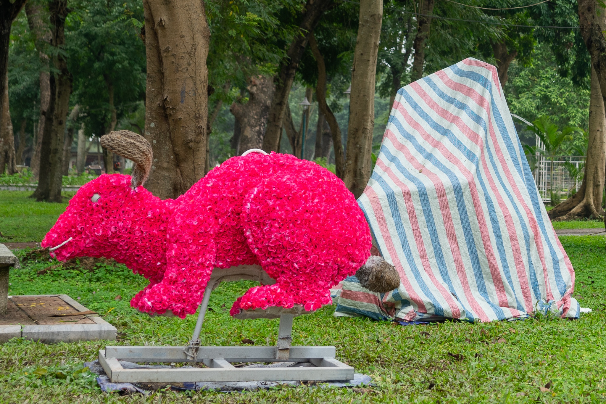 Hien trang xuong cap o cong vien lon nhat noi thanh Ha Noi hinh anh