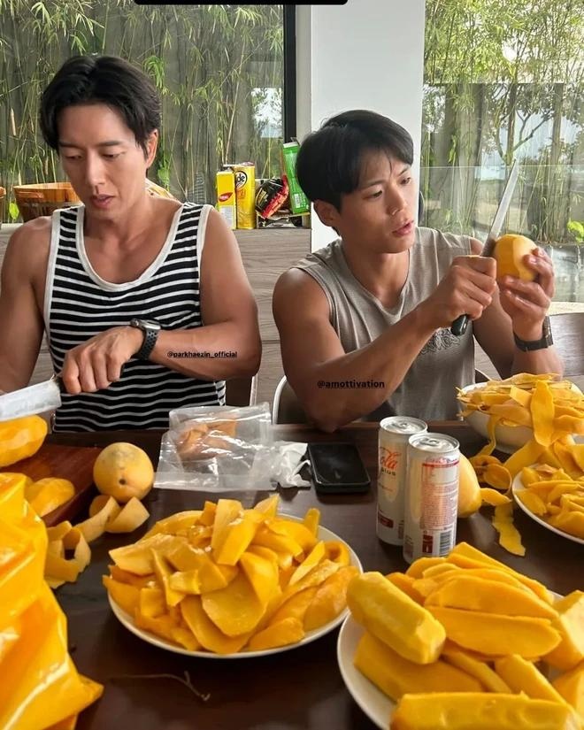 Xo&agrave;i ảnh 2
