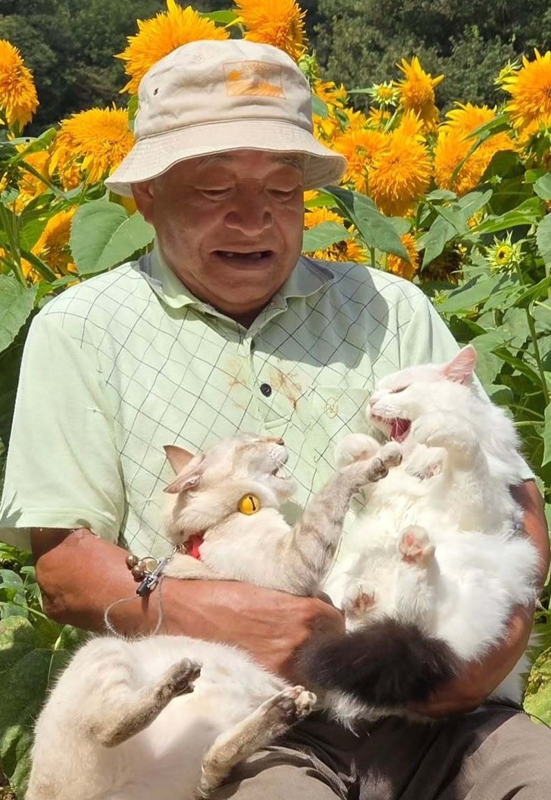 Nhật Bản ảnh 4