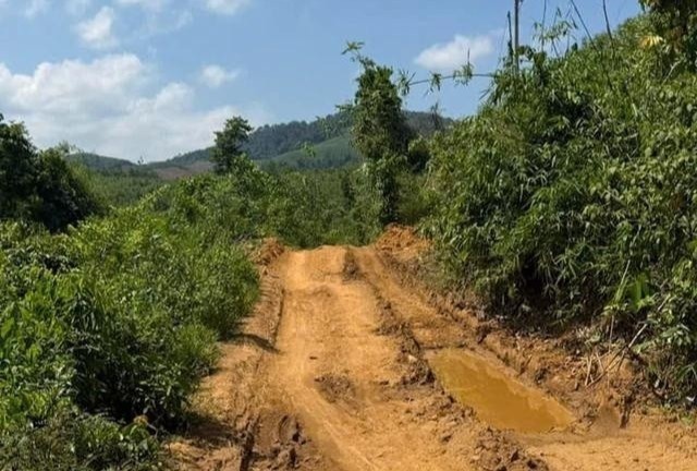Du kh&aacute;ch ảnh 4