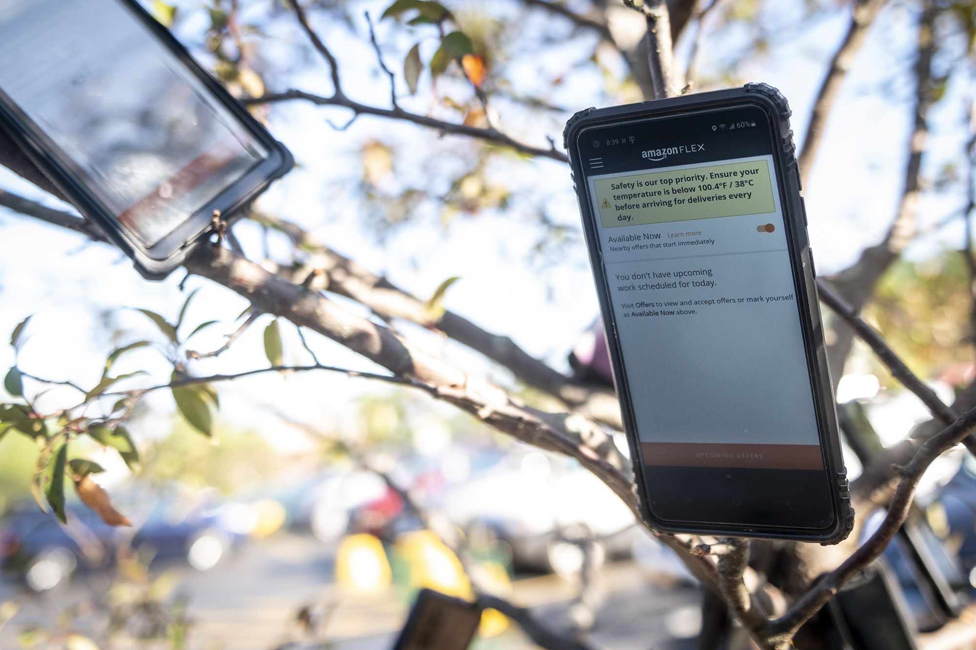 Treo dien thoai len cay de lua Amazon hinh anh