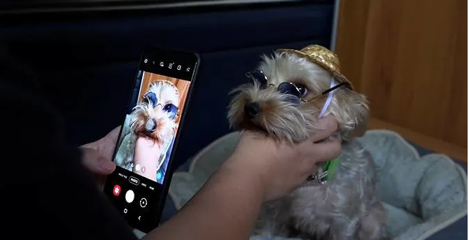 Bao hanh tre em, nguoc dai dong vat kiem hang nghin USD tren mang hinh anh