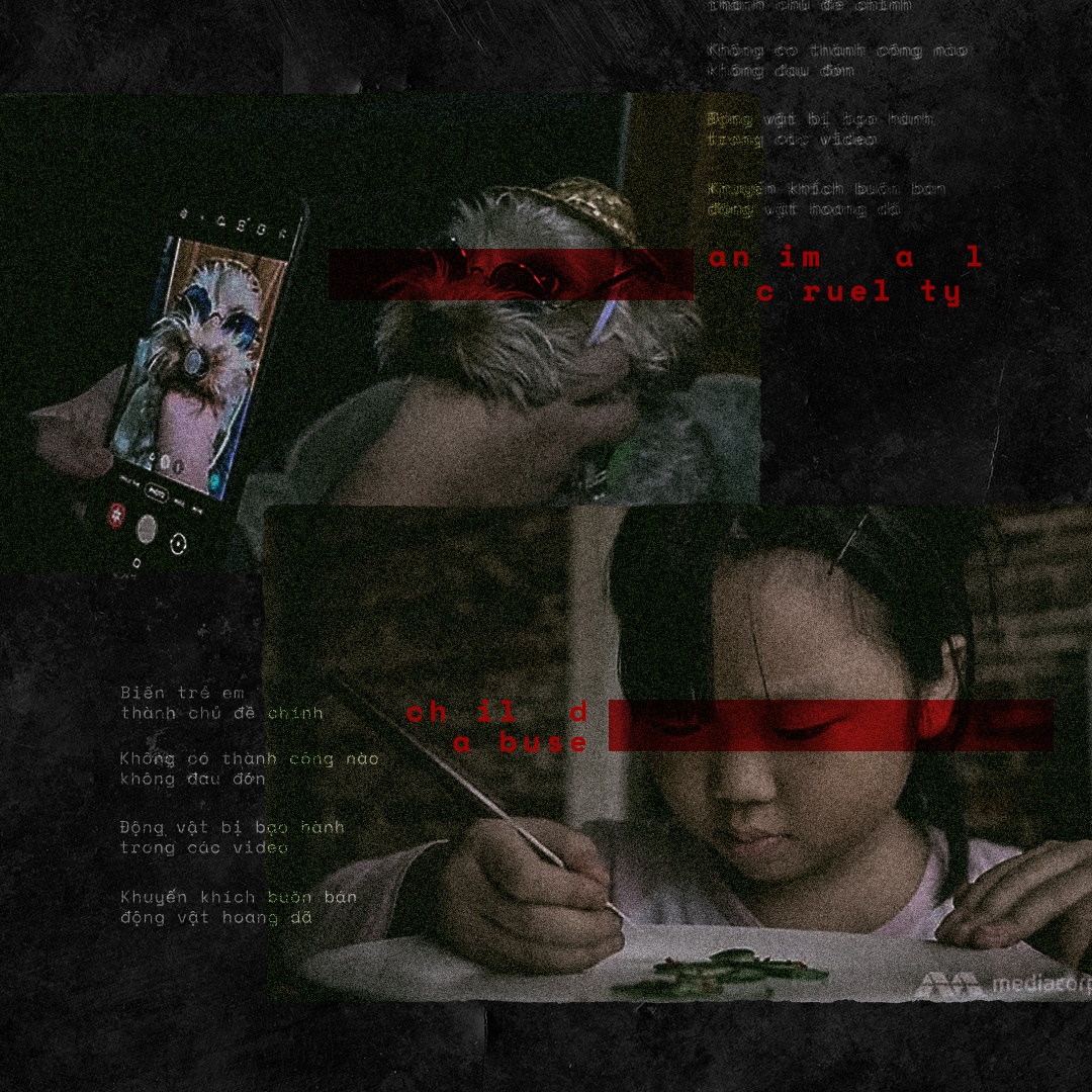 Kiem 50.000 USD tu video dong vat anh 1