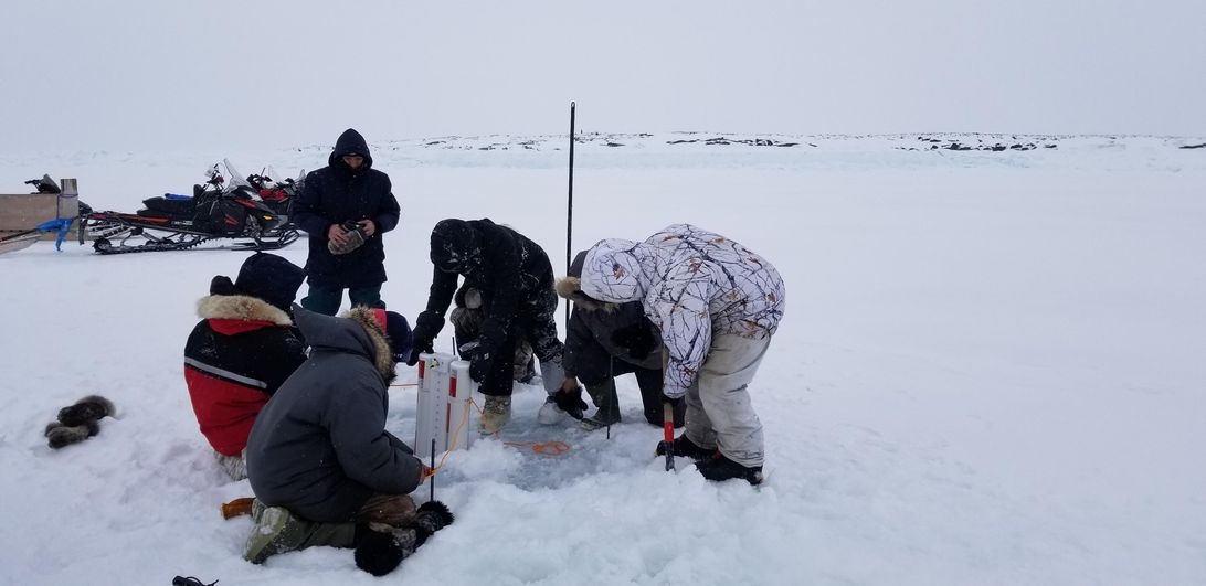 Cong nghe tai Bac Cuc anh 2