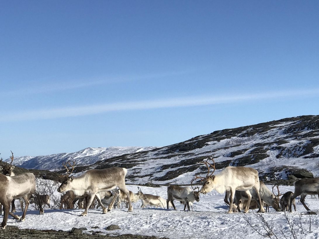 Cong nghe tai Bac Cuc anh 5