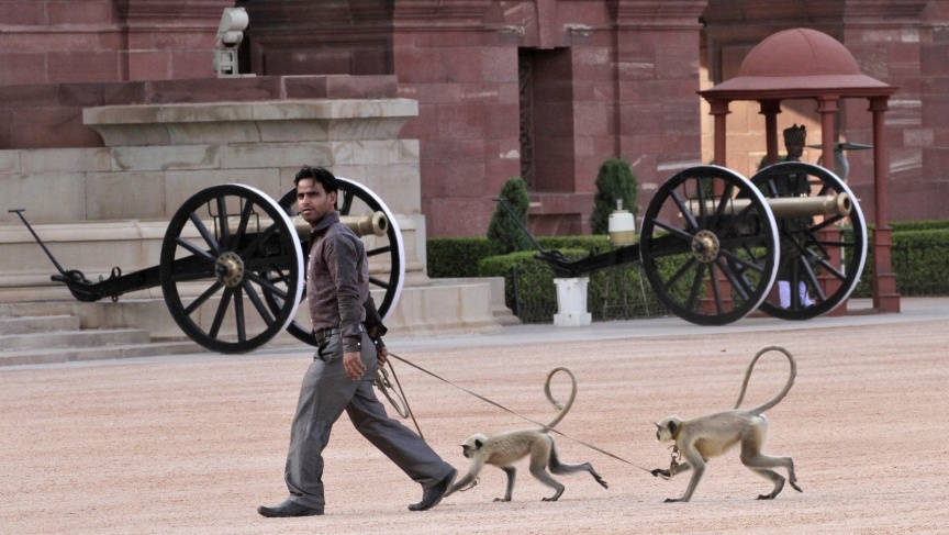 Khi o Indonesia anh 2