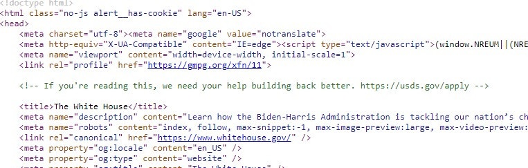 Tong thong Biden anh 1