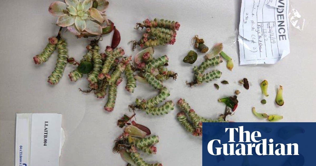 Buon lau cay xuong rong anh 1